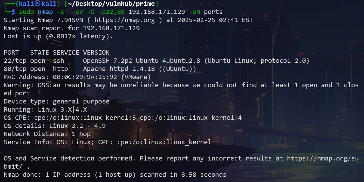 image-20250225154127029