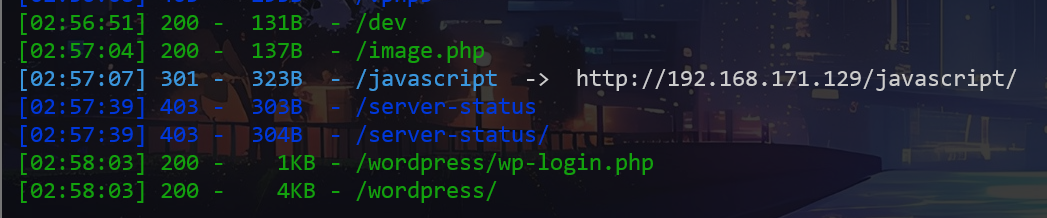 image-20250225155820498